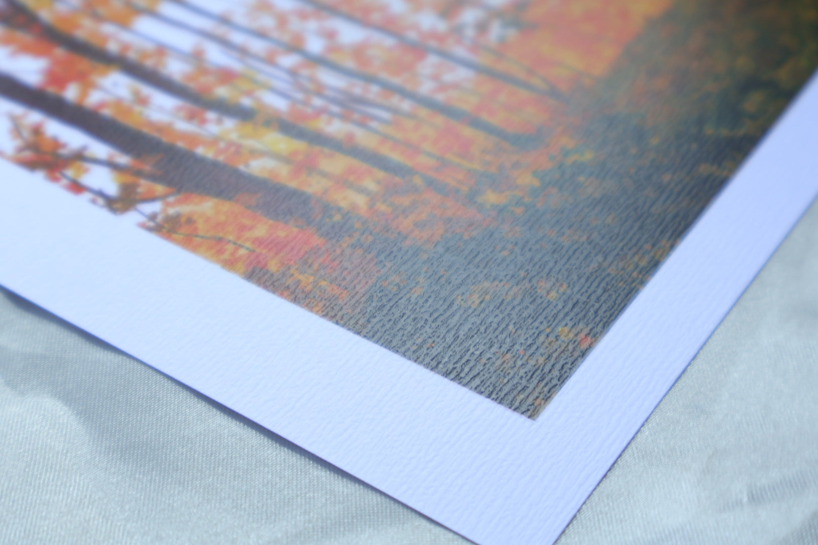 Art print of a painting of autumn vibes in the forest with orange trees and a dark green foreground