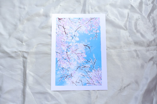 Art print showcasing Sakura Flowers blooming captured in Japan originally hand-painted and illustrated by Kit at a top view angle with brown branches

